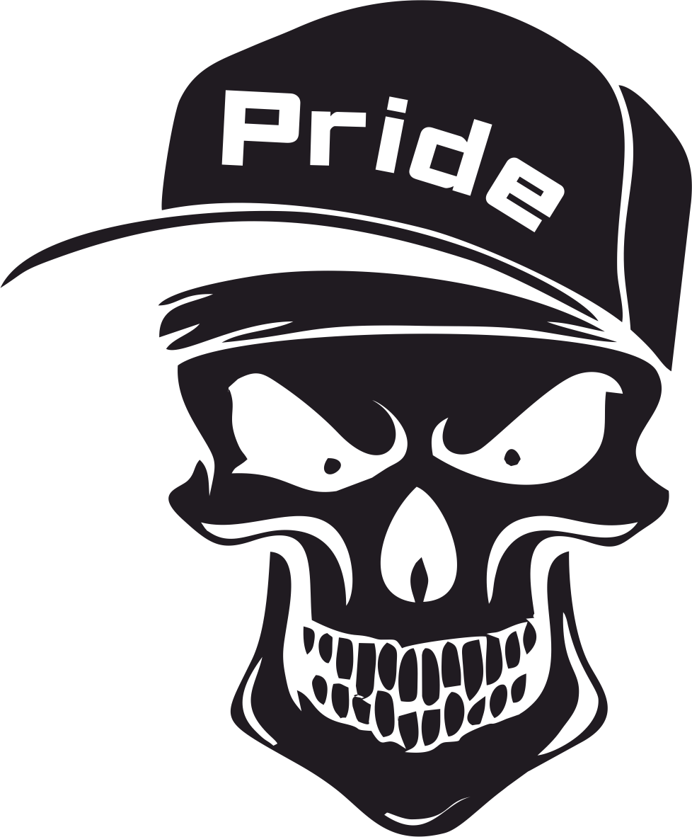 Наклейка Pride череп