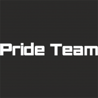  Наклейка Pride Team длинна 10см Белый